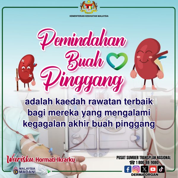 PEMINDAHAN BUAH PINGGANG